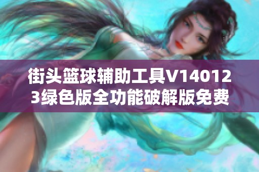 街头篮球辅助工具V140123绿色版全功能破解版免费下载体验