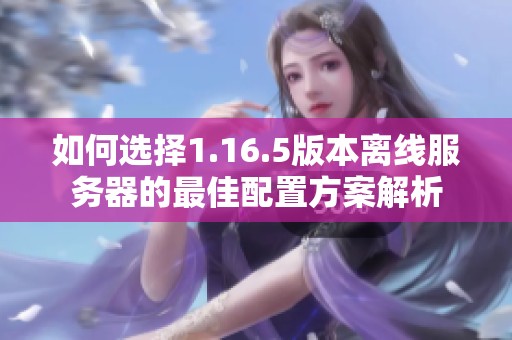如何选择1.16.5版本离线服务器的最佳配置方案解析